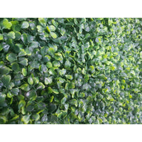 Mixed Boxwood Hedge Panels / Screens UV Resistant 1m x 1m New Arrivals Kings Warehouse 