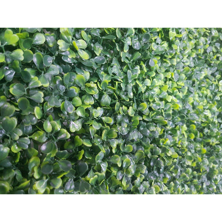 Mixed Boxwood Hedge Panels / Screens UV Resistant 1m x 1m New Arrivals Kings Warehouse 