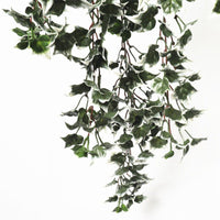 Mixed Green and White Tipped Ivy Bush 80cm UV Resistant Kings Warehouse 