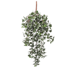 Mixed Green and White Tipped Ivy Bush 80cm UV Resistant Kings Warehouse 
