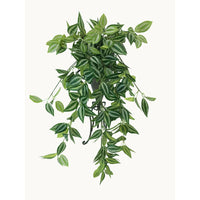 Mixed White and Green Hanging Philodendron Bush 80cm Artificial Plants Kings Warehouse 