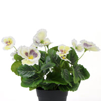 Mixed White Flowering Potted Artificial Pansy Plants 25cm Kings Warehouse 