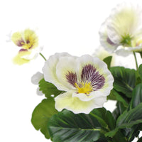 Mixed White Flowering Potted Artificial Pansy Plants 25cm Kings Warehouse 