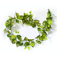 Mixed Yellow and Red Pothos Garland 190cm Kings Warehouse 