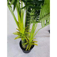 Multi Trunk Hawaii Palm 180cm Artificial Plants Kings Warehouse 