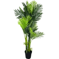 Multi Trunk Hawaii Palm 180cm Artificial Plants Kings Warehouse 