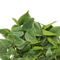 Nearly Natural Artificial Philodendron Hanging Bush 75cm Kings Warehouse 