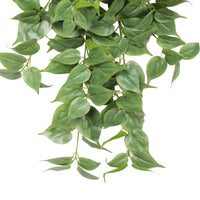 Nearly Natural Artificial Philodendron Hanging Bush 75cm Kings Warehouse 