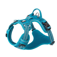 No Pull Harness Blue XS Kings Warehouse 