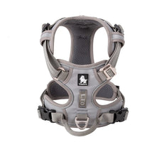 No Pull Harness Grey XS Kings Warehouse 