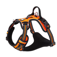 No Pull Harness Orange M Kings Warehouse 