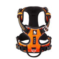 No Pull Harness Orange M Kings Warehouse 