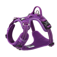 No Pull Harness Purple M Kings Warehouse 