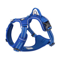 No Pull Harness Royal Blue L Kings Warehouse 