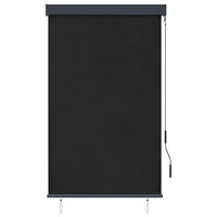 Outdoor Roller Blind 100x250 cm Anthracite Kings Warehouse 