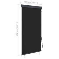 Outdoor Roller Blind 100x250 cm Anthracite Kings Warehouse 