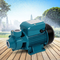 Peripheral Pump Water Garden Boiler Car Wash Irrigation Electric QB60 KingsWarehouse 