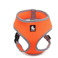 Pet Harness Orange XS