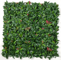 Photinia (Red Robin) Leaf Screens / Panels UV Stabilised 1m X 1m Kings Warehouse 