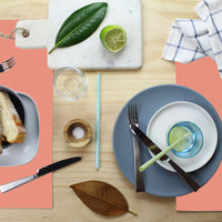 Placemat set of 4-Peach-46cm x 33cm Kings Warehouse 