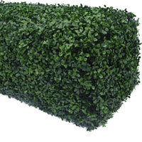 Portable Boxwood Hedge UV Resistant 25cm High 100cm Long Kings Warehouse 