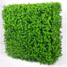 Portable Buxus Hedge UV Stabilised 75cm X 75cm Kings Warehouse 