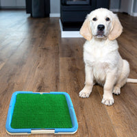 Portable Puppy Pet Toilet Dog Supplies Kings Warehouse 