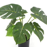 Potted Artificial Split Philodendron Plant With Real Touch Leaves 35cm Kings Warehouse 