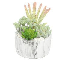 Potted Artificial Succulent Bowl with Marble Pot 20.5cm New Arrivals Kings Warehouse 