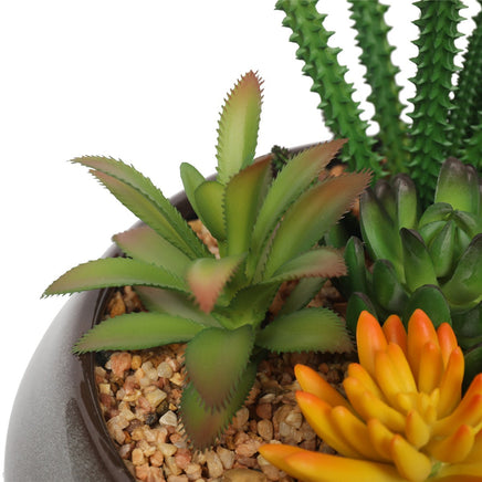 Potted Artificial Succulents with Round Decorative Bowl 19cm Home & Garden > Artificial Plants Kings Warehouse 