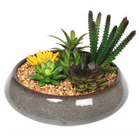Potted Artificial Succulents with Round Decorative Bowl 19cm Home & Garden > Artificial Plants Kings Warehouse 