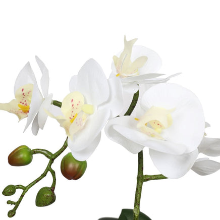 Potted Single Stem White Phalaenopsis Orchid with Decorative Pot 35cm Home & Garden > Decor Kings Warehouse 
