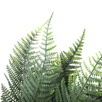 Premium Artificial Australian Fern UV Resistant 60cm Decor Kings Warehouse 