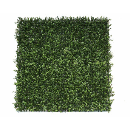 Premium Natural Buxus Hedge Panels UV Resistant 1m x 1m Kings Warehouse 