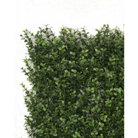 Premium Natural Buxus Hedge Panels UV Resistant 1m x 1m Kings Warehouse 