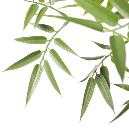 Premium Natural Cane Artificial Bamboo (UV Resistant) 180cm Kings Warehouse 