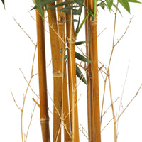 Premium Natural Cane Artificial Bamboo (UV Resistant) 180cm Kings Warehouse 