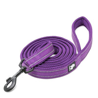 Reflective Pet Leash 2 meters Purple L Kings Warehouse 