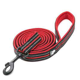 Reflective Pet Leash 2 meters Red S Kings Warehouse