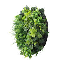 Slimline Artificial Green Wall Disc Art 60cm Mixed Green Fern & Ivy (Black) Kings Warehouse 