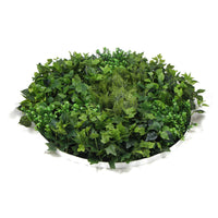 Slimline Artificial Green Wall Disc Art 80cm Mixed Green Fern & Ivy (White) Kings Warehouse 