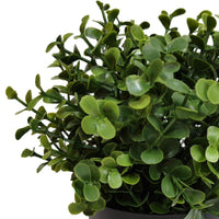 Small Potted Artificial Buxus Plant UV Resistant 20cm New Arrivals Kings Warehouse 