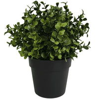 Small Potted Artificial Buxus Plant UV Resistant 20cm New Arrivals Kings Warehouse 