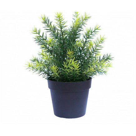 Small Potted Artificial Native Grass Plant UV Resistant 20cm Kings Warehouse 
