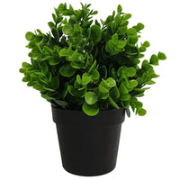 Small Potted Artificial Peperomia Plant UV Resistant 20cm New Arrivals Kings Warehouse 