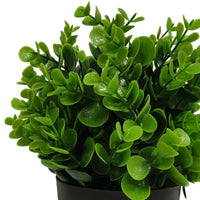Small Potted Artificial Peperomia Plant UV Resistant 20cm New Arrivals Kings Warehouse 