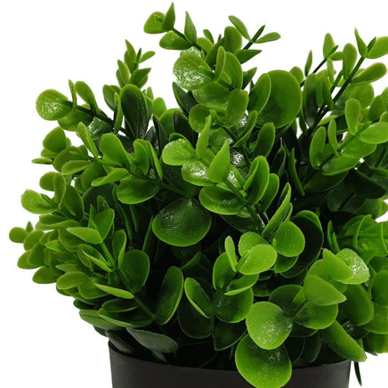 Small Potted Artificial Peperomia Plant UV Resistant 20cm New Arrivals Kings Warehouse 
