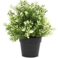 Small Potted Artificial White Jade Plant UV Resistant 20cm New Arrivals Kings Warehouse 