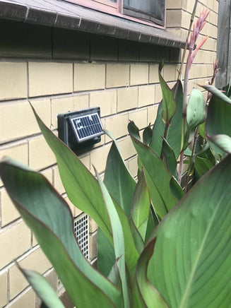 Solar Step Lights Kings Warehouse 