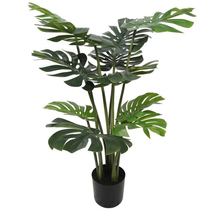 Split Philodendron (Split Leaf) 120cm Kings Warehouse 